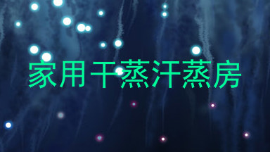 家用干蒸汗蒸房