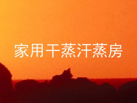 家用干蒸汗蒸房
