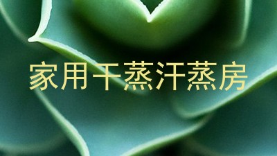 家用干蒸汗蒸房