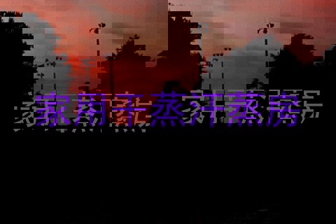 家用干蒸汗蒸房