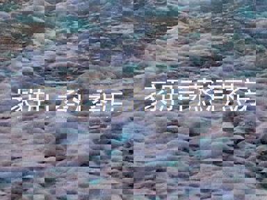 家用干蒸汗蒸房