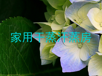 家用干蒸汗蒸房