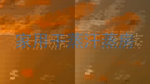 家用干蒸汗蒸房