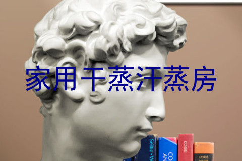 家用干蒸汗蒸房