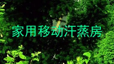 家用移动汗蒸房