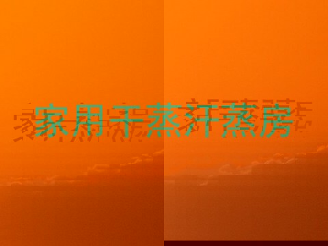 家用干蒸汗蒸房