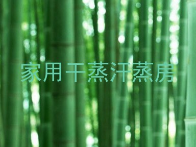 家用干蒸汗蒸房