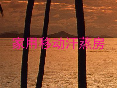 家用移动汗蒸房