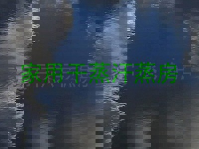 家用干蒸汗蒸房