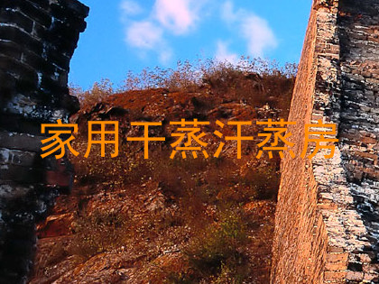 家用干蒸汗蒸房