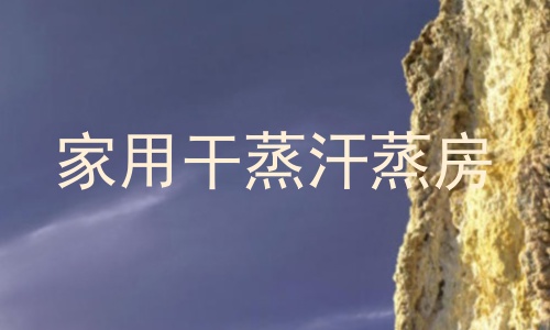 家用干蒸汗蒸房