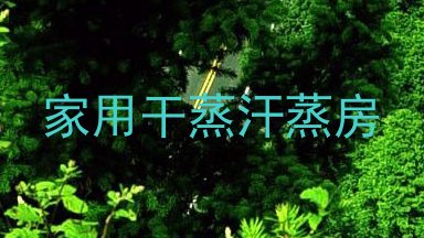 家用干蒸汗蒸房