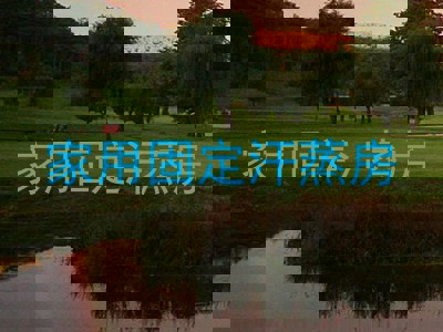 家用固定汗蒸房