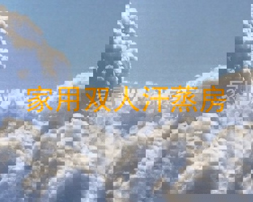 家用双人汗蒸房