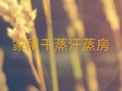 家用干蒸汗蒸房