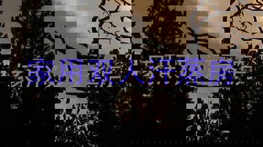 家用双人汗蒸房