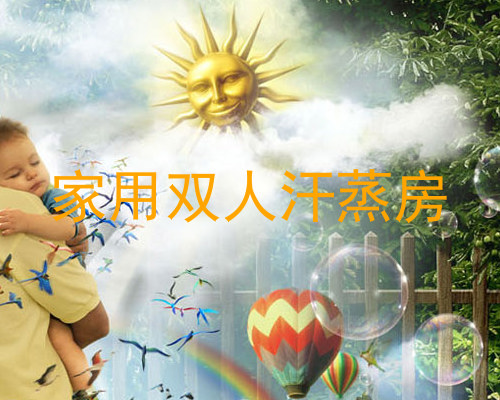 家用双人汗蒸房