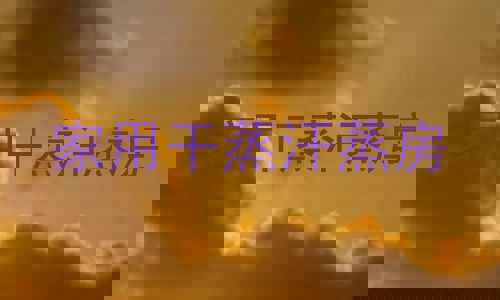 家用干蒸汗蒸房