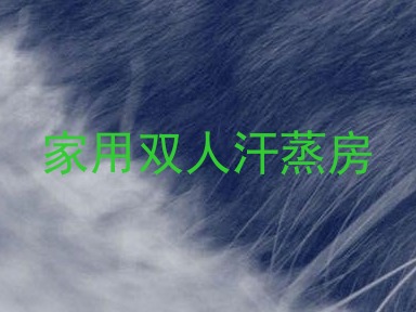 家用双人汗蒸房