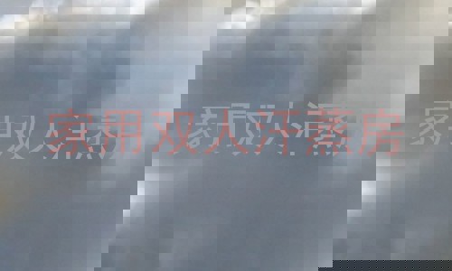 家用双人汗蒸房