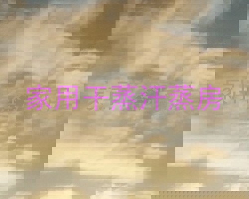 家用干蒸汗蒸房