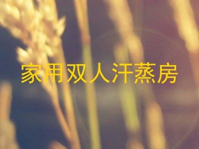 家用双人汗蒸房