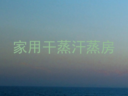 家用干蒸汗蒸房