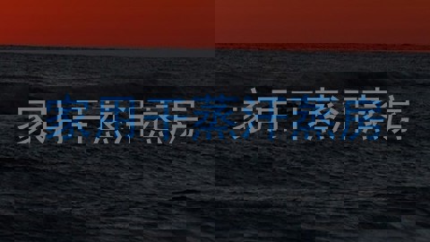 家用干蒸汗蒸房