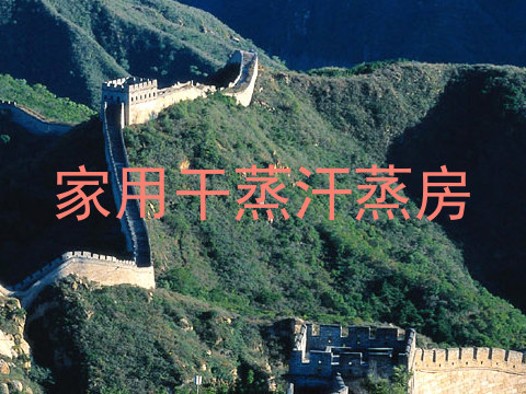 家用干蒸汗蒸房