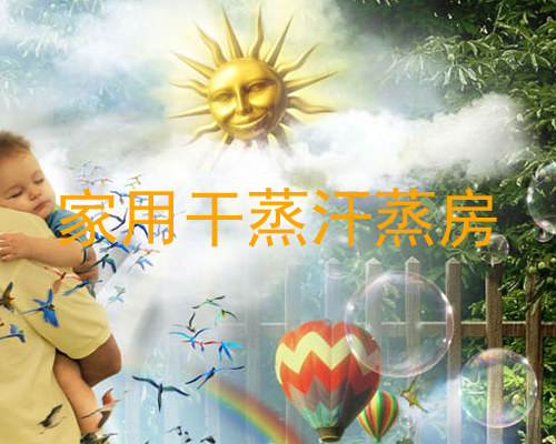 家用干蒸汗蒸房