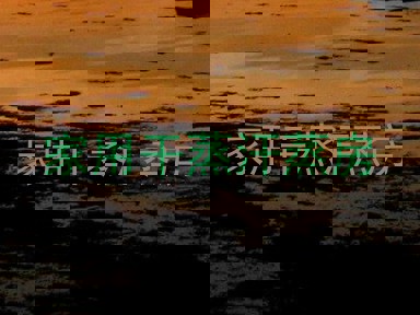 家用干蒸汗蒸房