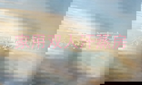 家用双人汗蒸房