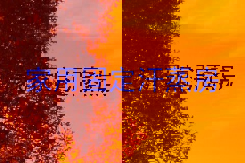 家用固定汗蒸房