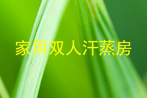 家用双人汗蒸房