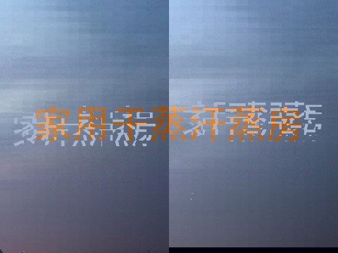 家用干蒸汗蒸房