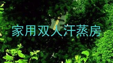 家用双人汗蒸房