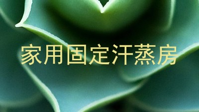 家用固定汗蒸房