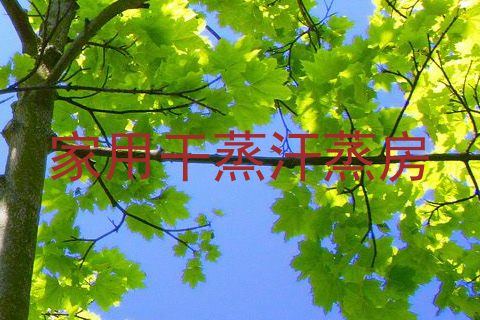 家用干蒸汗蒸房