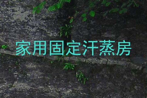 家用固定汗蒸房