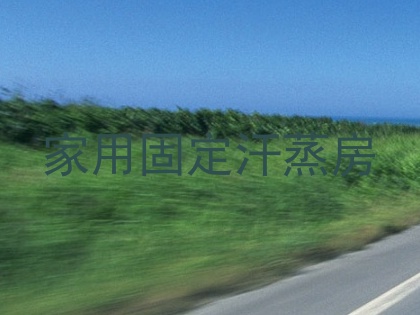 家用固定汗蒸房