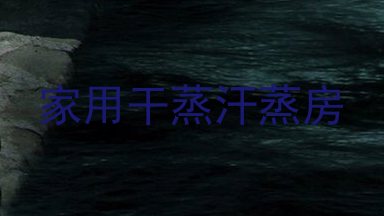 家用干蒸汗蒸房