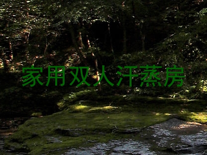 家用双人汗蒸房