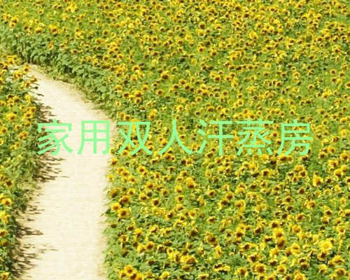 家用双人汗蒸房