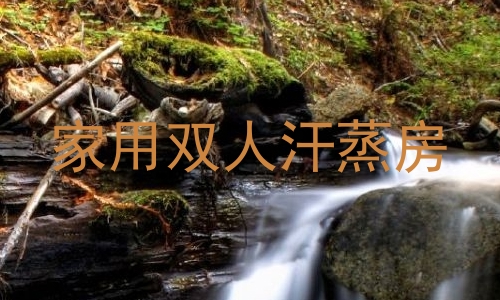 家用双人汗蒸房