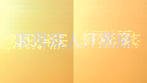 家用双人汗蒸房