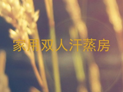 家用双人汗蒸房