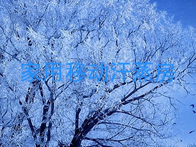 家用移动汗蒸房