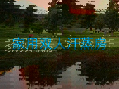 家用双人汗蒸房