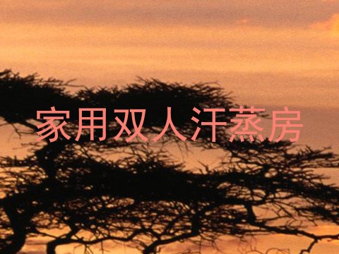 家用双人汗蒸房