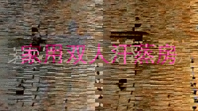 家用双人汗蒸房